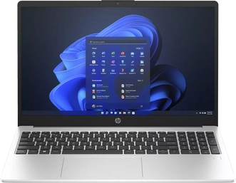 HP 250 G10, Turbo Silver, Core i3-1315U, 8GB RAM, 512GB SSD