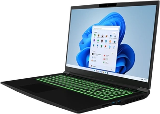 Tulpar T7 V20.6.2, Core i7-13700H, 32GB RAM, 500GB SSD, GeForce RTX 4060