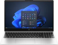 HP 250R G10, Turbo Silver, Core 3 100U, 16GB RAM, 256GB SSD