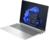 HP ProBook 460 G11, Pike Silver, Core Ultra 5 125U, 16GB RAM, 256GB SSD