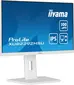 iiyama ProLite XUB2292HSU-W6, 21.5"