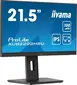 iiyama ProLite XUB2293HSU-B6, 21.5"