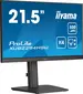 iiyama ProLite XUB2294HSU-B6, 22"