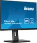 iiyama ProLite XUB2395WSU-B5, 22.5"
