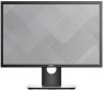Dell P2217, 22"