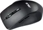 ASUS WT425 black, USB