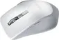 ASUS WT425 white, USB
