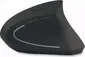 Acer vertical Ergonomic wireless Mouse black, USB
