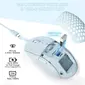 Ajazz AJ199 Ultralight Gaming Mouse blue, USB