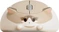 Akko x Waigua Cat Theme wireless Mouse, Ragdoll Cat, USB