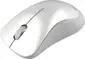 Canyon MW-11 wireless Mouse Pearl white, USB