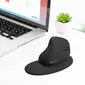 DeLUX Seeker wireless Ergonomic vertical Mouse, black, USB