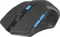 Defender Accura MM-275 wireless Optical Mouse black/blue, USB