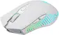 Defender Pandora GM-502 wireless Gaming Mouse white, USB