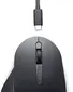 Dell MS900 Premier rechargeable wireless Mouse, graphite, USB/Bluetooth