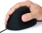 Ewent wired Ergonomic Mouse black, USB