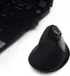 Ewent wireless Ergonomic Mouse black, USB