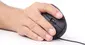 Gembird Ergonomic 6-button Optical Mouse ERGO-01 black, USB