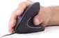 Gembird Ergonomic 6-button Optical Mouse ERGO-01 black, USB