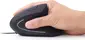 Gembird Ergonomic 6-button Optical Mouse ERGO-01 black, USB