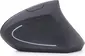 Gembird Ergonomic 6-button wireless Optical Mouse ERGO-01 black, USB