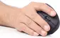 Gembird Ergonomic 6-button wireless Optical Mouse ERGO-01 black, USB