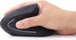 Gembird Ergonomic 6-button wireless Optical Mouse ERGO-01 black, USB