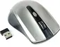 Gembird wireless Optical Mouse 4B-04 grey/black, USB