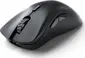 Glorious Model D 2 Pro wireless, 1K Polling, black, USB
