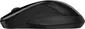HP 250 Dual Mode wireless Mouse, black, USB/Bluetooth