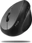 Inca IWM-279G vertical wireless Mouse grey, USB
