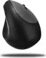 Inca IWM-279G vertical wireless Mouse grey, USB