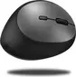 Inca IWM-279G vertical wireless Mouse grey, USB