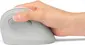 Kensington Pro Fit Ergo vertical wireless Mouse, white/grey, USB