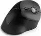 Kensington Pro Fit Ergo vertical wireless Mouse, black, USB