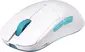 Lamzu Atlantis mini PRO wireless Gaming Mouse Polar white, USB