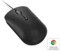 Lenovo 400 USB-C wired Compact Mouse Raven Black, USB
