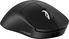 Logitech G Pro X superlight 2 DEX Lightspeed black, USB