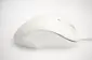 Matias wired PBT Mouse white, USB