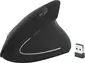 MediaRange vertical wireless mouse black, USB
