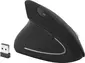 MediaRange vertical wireless mouse black, left hander, USB