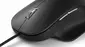 Microsoft Ergonomic Mouse black, USB
