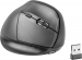 Natec Crake vertical wireless Mouse black, USB