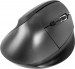 Natec Crake vertical wireless Mouse black, USB
