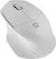 Natec Siskin 2 wireless Silent Mouse white, USB/Bluetooth