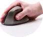 Ordissimo vertical Ergonomic wireless Mouse black/grey, USB