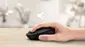 Philips 3000 Series Silent wireless Mouse, USB