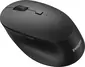 Philips 5000 Series wireless Mouse, black, USB