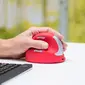R-Go HE Sports Mouse vertical mouse red, medium, left hander, Bluetooth