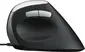 Rapoo EV200 Ergonomic wired Mouse black/silver, USB